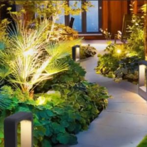 Horticulture Lighting